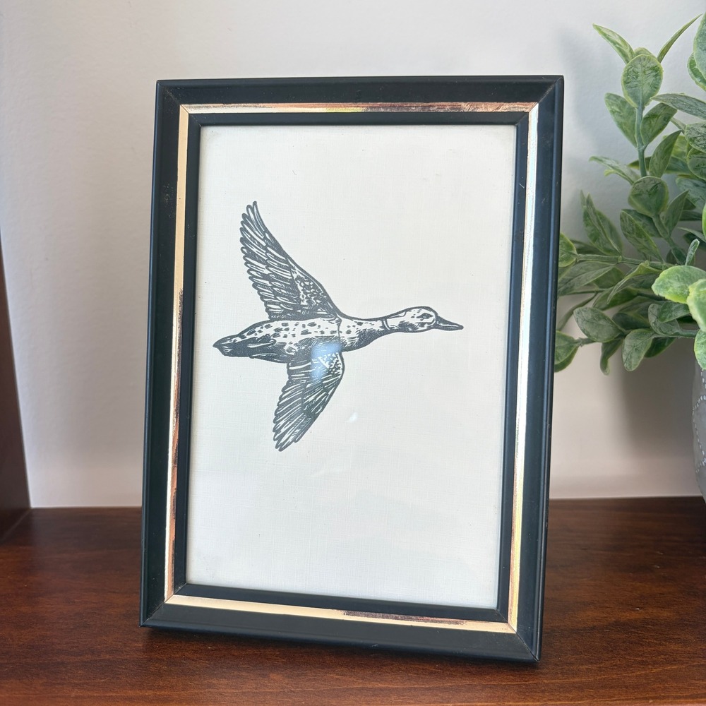Vintage Flying Duck Sketch Art Black and Gold Frame 5x7 Waterfowl Decor